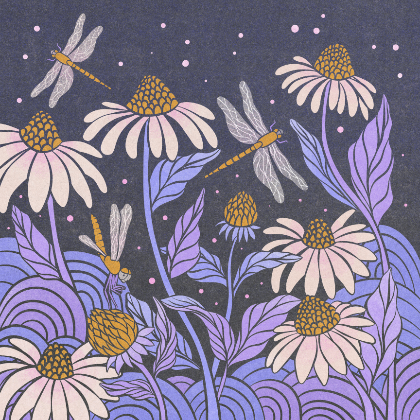 floral insect illustration