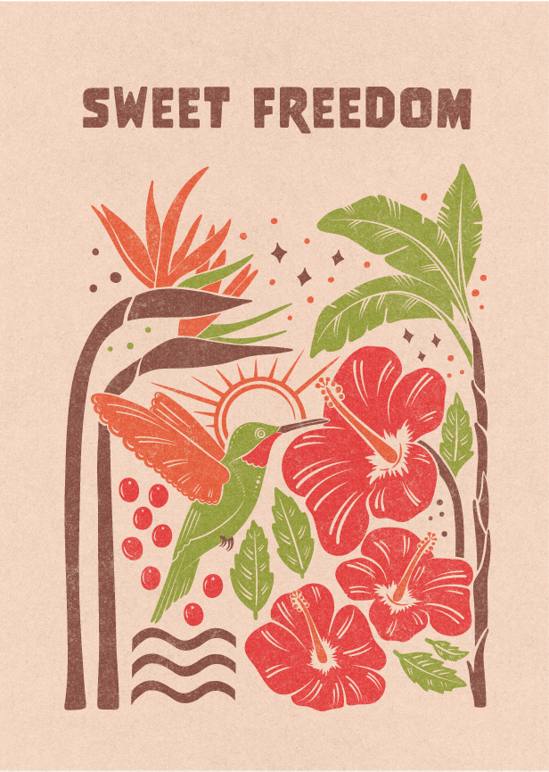 hummingbird illustration