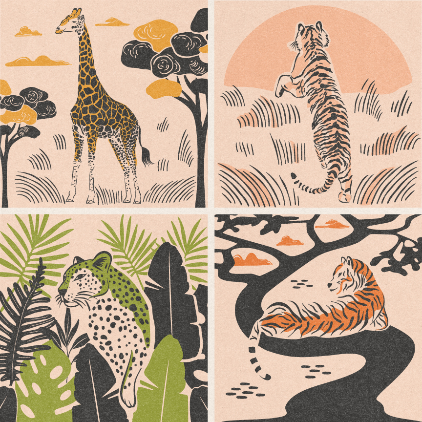 wild cats illustrations
